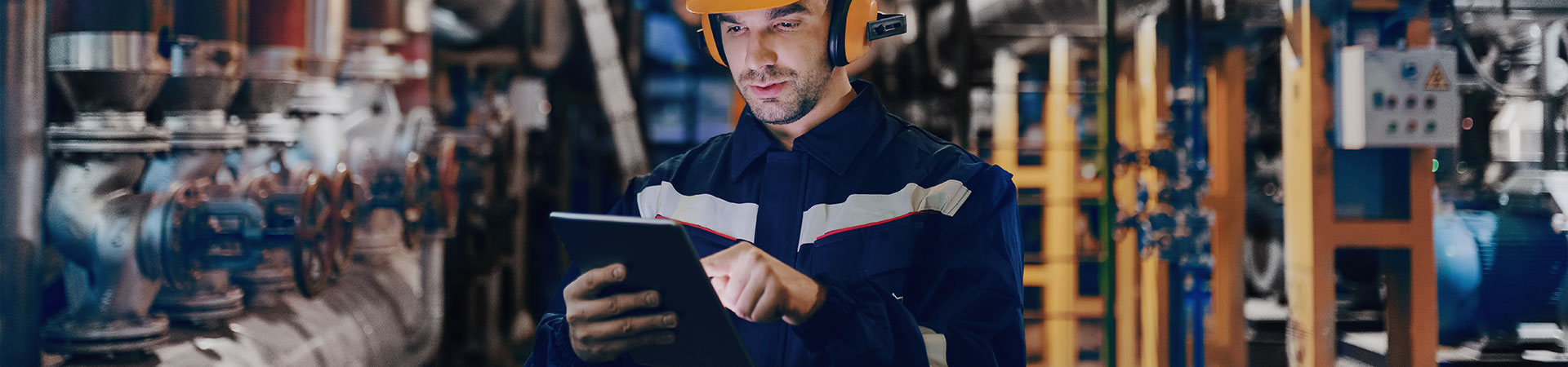 Program Image